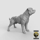 Dog Miniature | B - Tabletop RPG & D&D miniature. Perfect for wargaming & collectors