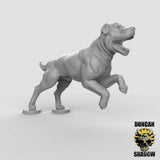 Dog Miniature | C - Tabletop RPG & D&D miniature. Perfect for wargaming & collectors