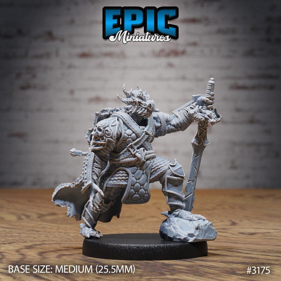 Dragonborn Fighter Miniature - A - 28mm