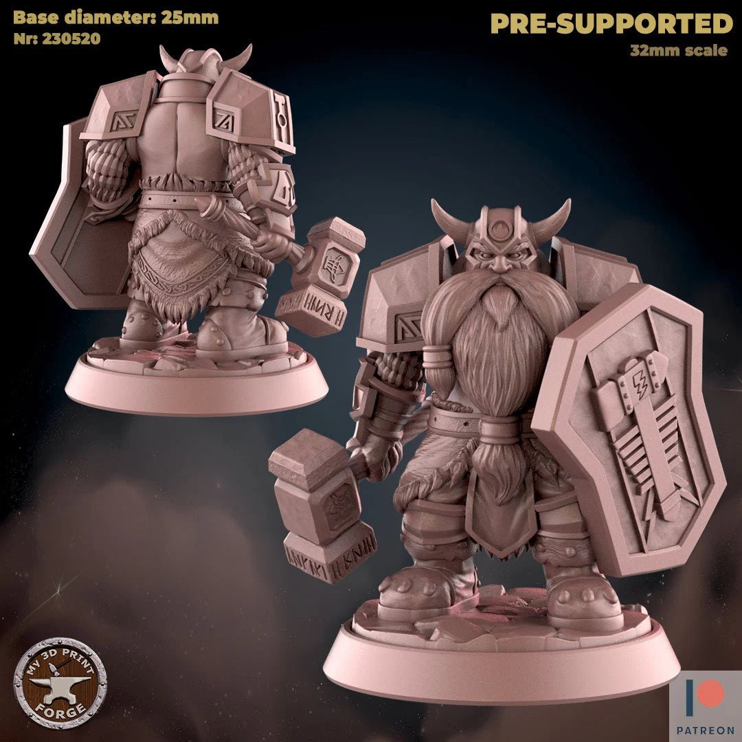Dwarf Paladin Miniature | B - Tabletop RPG & D&D miniature. Perfect for wargaming & collectors