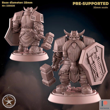 Dwarf Paladin Miniature | B - Tabletop RPG & D&D miniature. Perfect for wargaming & collectors