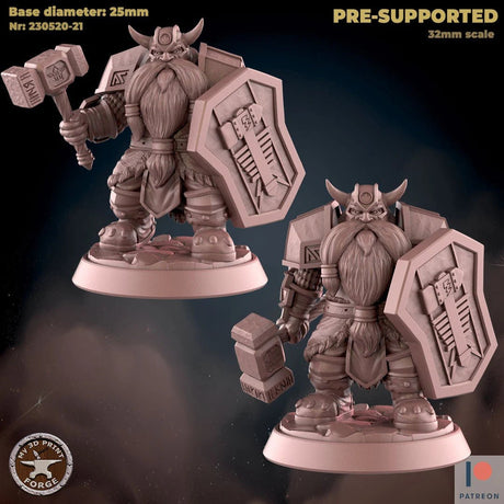 Dwarf Paladin Miniature | Set of 2 - Tabletop RPG & D&D miniature. Perfect for wargaming & collectors
