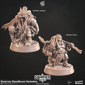 Dwarven Stoneflower Herbalist Miniature | Herbalist Jaadoog - Tabletop RPG & D&D miniature. Perfect for wargaming & collectors