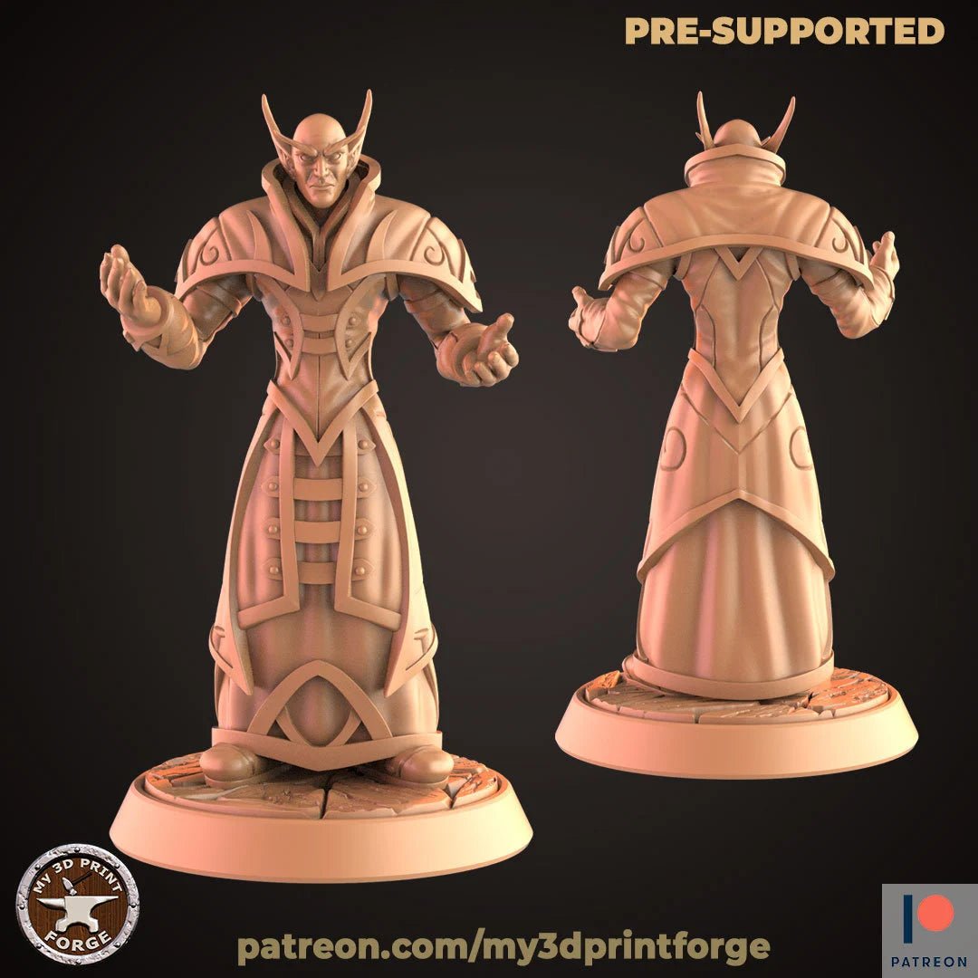 Elf Merchant Noble Miniature - B - 28mm