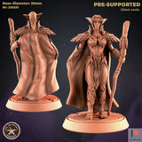 Elf Rogue, hunter Miniature | E - Tabletop RPG & D&D miniature. Perfect for wargaming & collectors