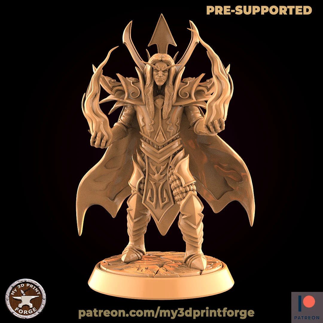 Elf Royal Miniature | F - Tabletop RPG & D&D miniature. Perfect for wargaming & collectors
