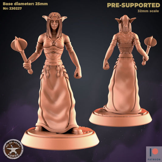 Female and male Elf Cleric Miniature - Female version - 28mm