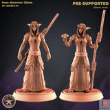 Female Elf Druid Miniature | Set of 2 - Tabletop RPG & D&D miniature. Perfect for wargaming & collectors