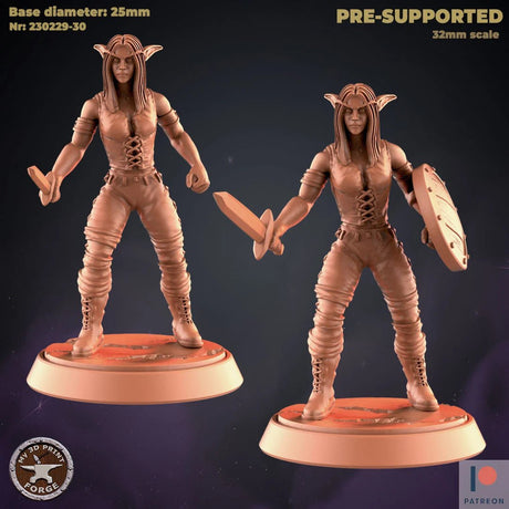 Female Elf Fighter Miniature | Set of 2 - Tabletop RPG & D&D miniature. Perfect for wargaming & collectors