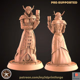 Female Elf Noble Miniature | B - Tabletop RPG & D&D miniature. Perfect for wargaming & collectors