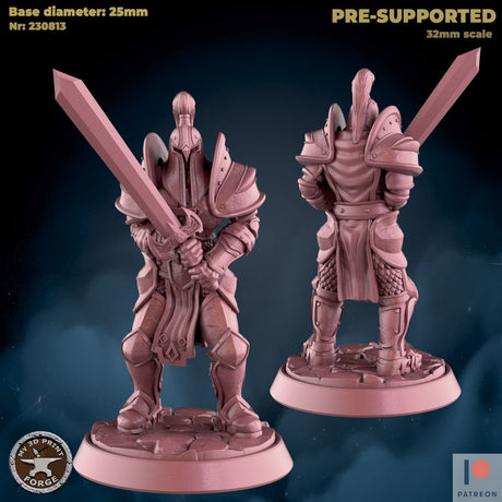 Female Knight Miniature | A - Tabletop RPG & D&D miniature. Perfect for wargaming & collectors