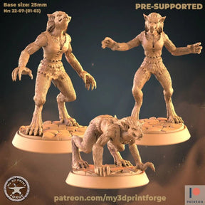 Female Wolf Miniature | Set of 3 - Tabletop RPG & D&D miniature. Perfect for wargaming & collectors