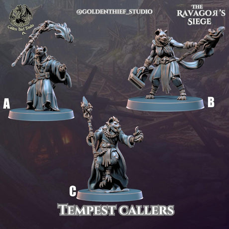 Gnoll Tempest Callers Miniature | Full Set All Models - Tabletop RPG & D&D miniature. Perfect for wargaming & collectors