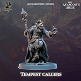 Gnoll Tempest Callers Miniature | Gnoll C - Tabletop RPG & D&D miniature. Perfect for wargaming & collectors