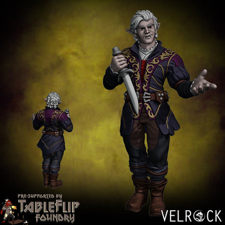 Heroes of the Gate Miniature | C - Tabletop RPG & D&D miniature. Perfect for wargaming & collectors