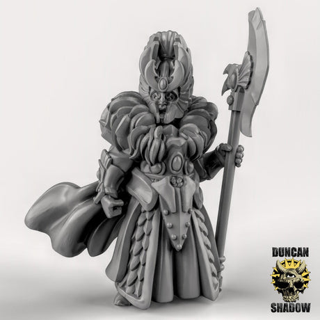 High Elf Heros Miniature | B - Tabletop RPG & D&D miniature. Perfect for wargaming & collectors