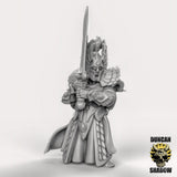 High Elf Heros Miniature | C - Tabletop RPG & D&D miniature. Perfect for wargaming & collectors