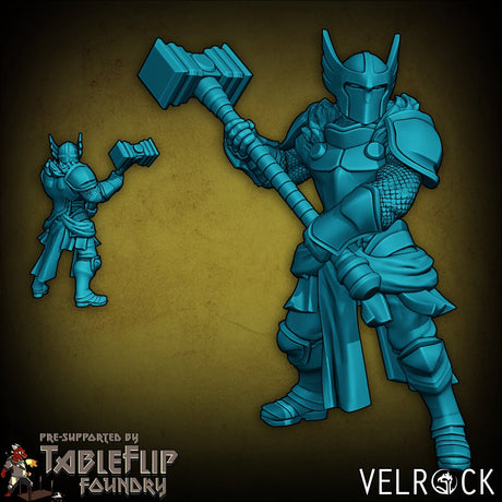 High Elf Paladins Miniature | F - Tabletop RPG & D&D miniature. Perfect for wargaming & collectors