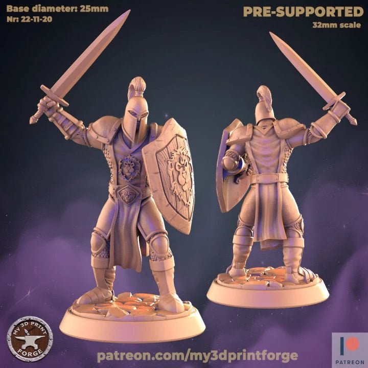 Human Guard Miniature | B - Tabletop RPG & D&D miniature. Perfect for wargaming & collectors