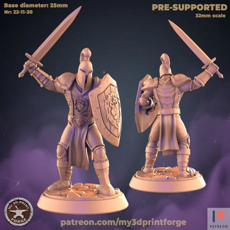 Human Guard Miniature | B - Tabletop RPG & D&D miniature. Perfect for wargaming & collectors