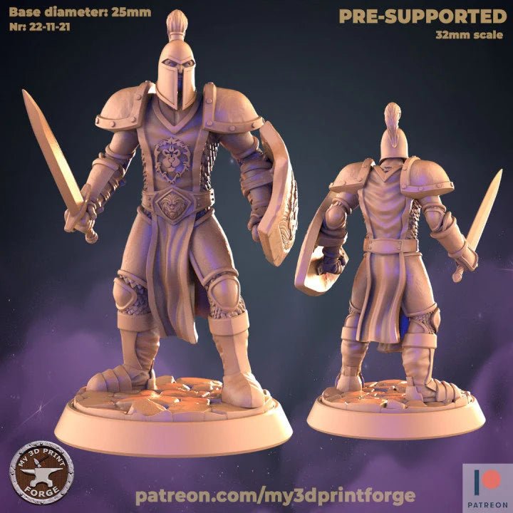 Human Guard Miniature | C - Tabletop RPG & D&D miniature. Perfect for wargaming & collectors