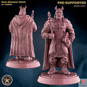 Human King Miniature | A - Tabletop RPG & D&D miniature. Perfect for wargaming & collectors