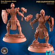 Female Human Paladin initate Miniature | A - Tabletop RPG & D&D miniature. Perfect for wargaming & collectors