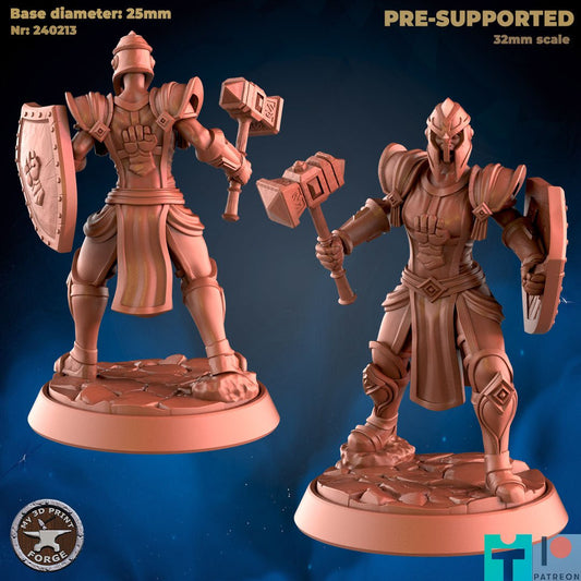 Human Paladin Miniature - A - 28mm