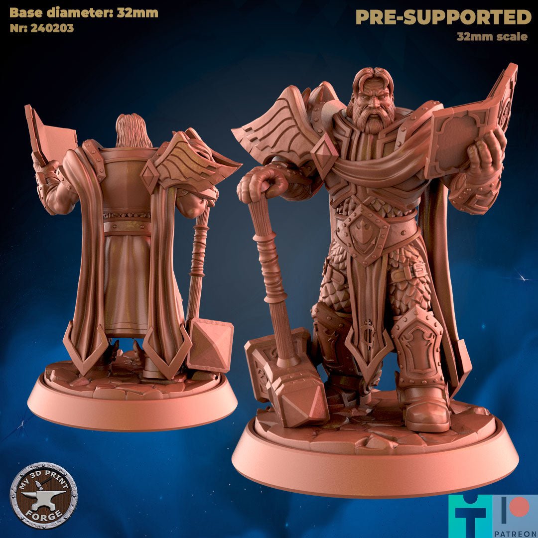 Human Paladin leader Miniature | A - Tabletop RPG & D&D miniature. Perfect for wargaming & collectors