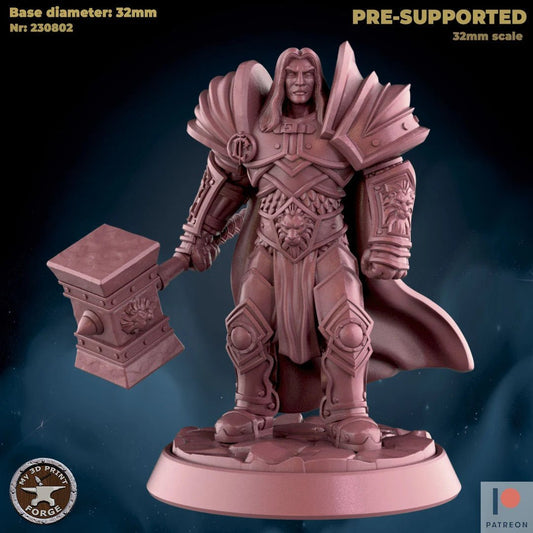 Human Paladin Miniature - A - 28mm