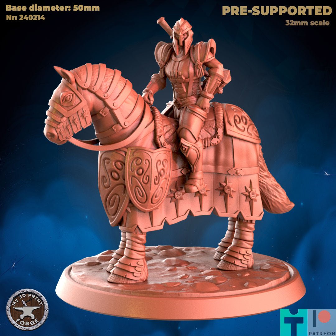 Human Paladin Miniature - A - 32mm