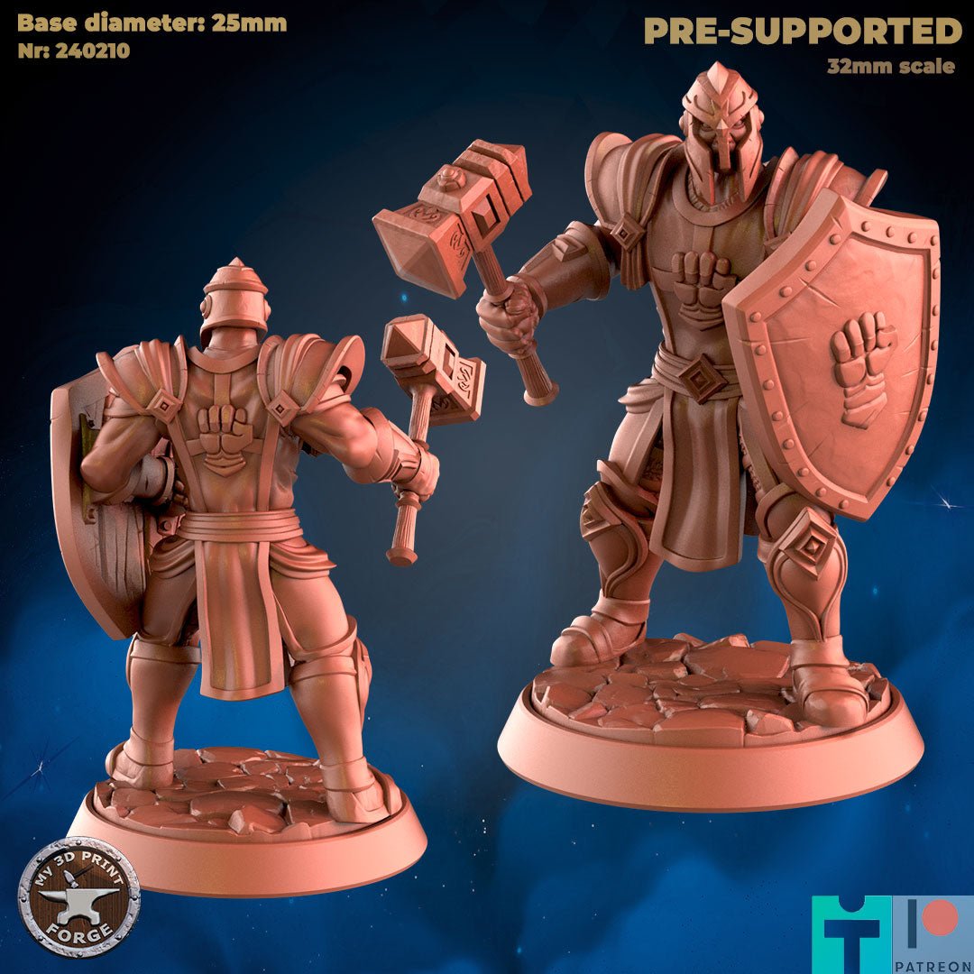 Human Paladin Miniature - A - 32mm