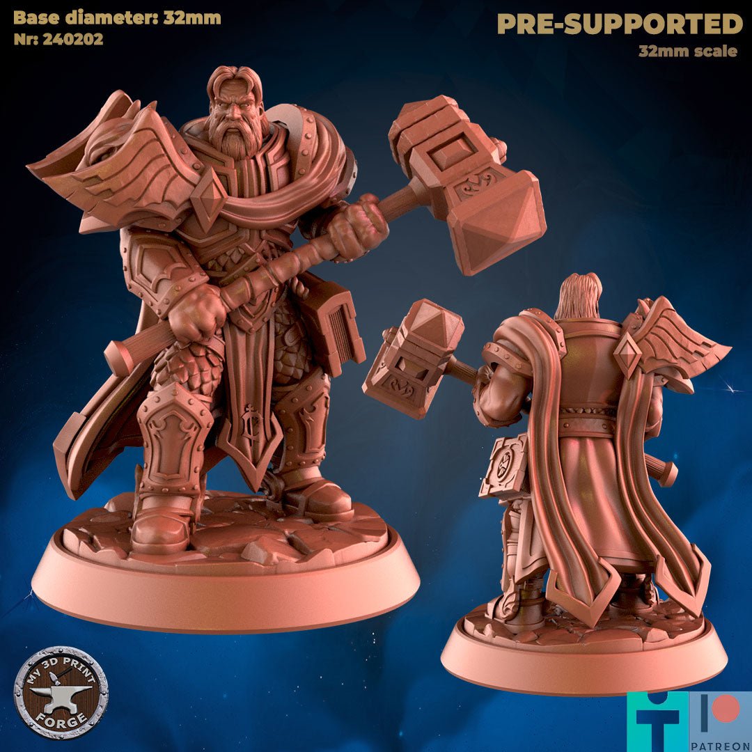 Human Paladin leader Miniature | B - Tabletop RPG & D&D miniature. Perfect for wargaming & collectors