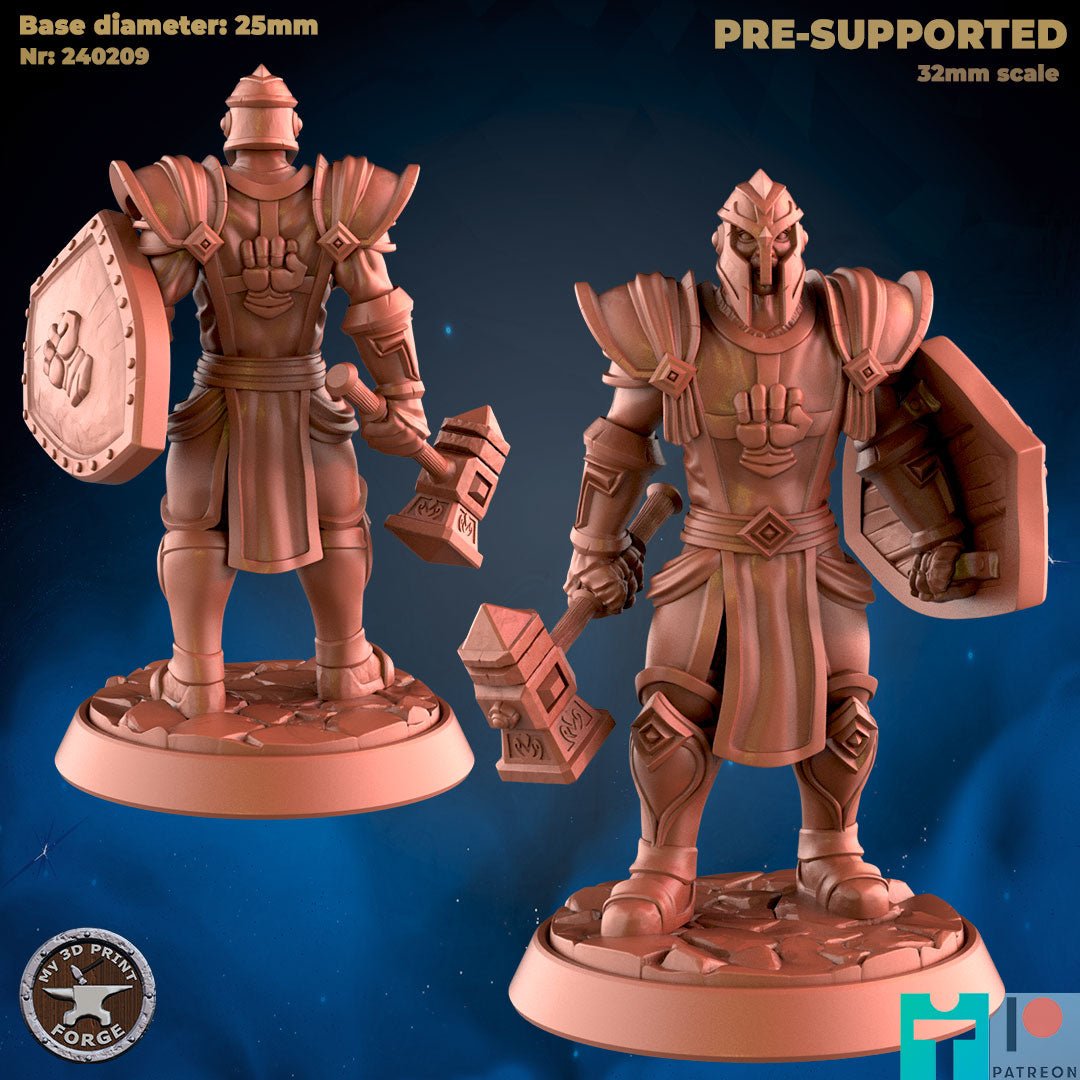 Human Paladin Miniature - B - 32mm