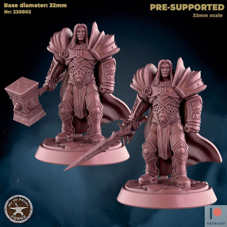 Human Paladin Miniature | Set of 2 - Tabletop RPG & D&D miniature. Perfect for wargaming & collectors