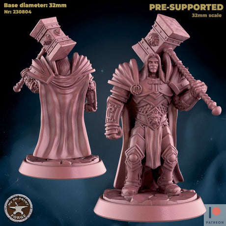 Human Paladins Miniature | B - Tabletop RPG & D&D miniature. Perfect for wargaming & collectors