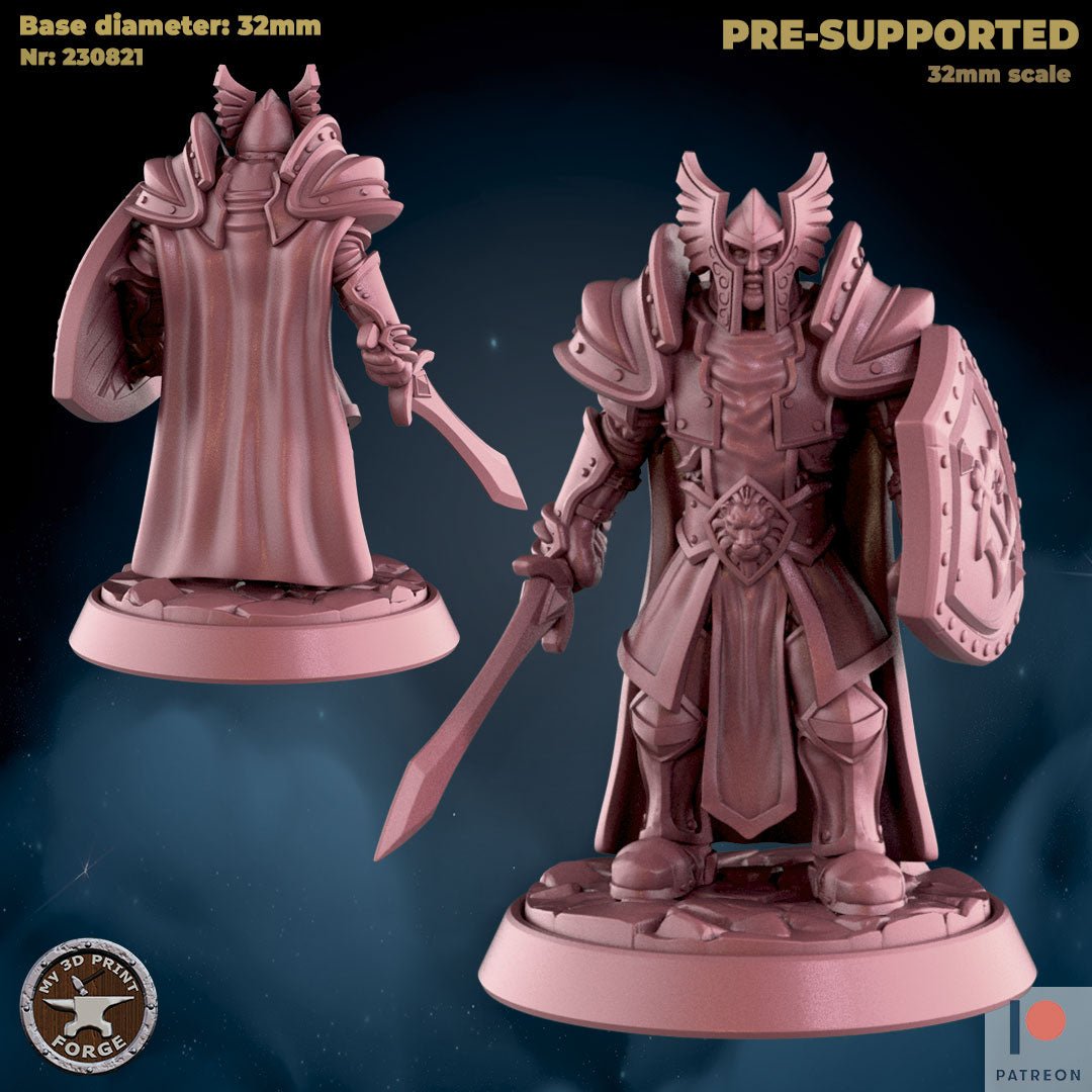 Human Royalist Miniature | A - Tabletop RPG & D&D miniature. Perfect for wargaming & collectors
