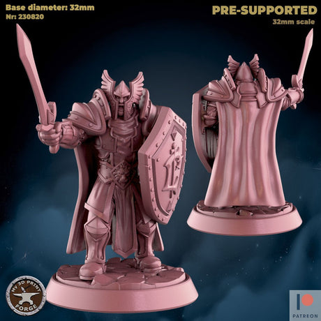 Human Royalist Miniature | C - Tabletop RPG & D&D miniature. Perfect for wargaming & collectors