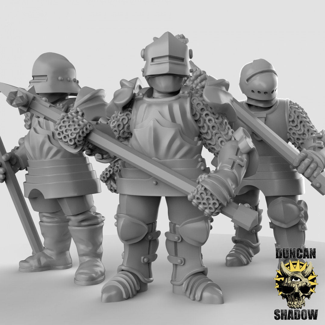 Royal Knight, Knight/ Guardmen, Miniatures by Duncan Shadow Dnd, Dungeon and Dragon Mini, Tabletop Miniature, Miniature, Fantasy Miniature