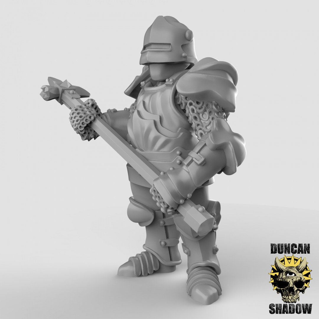 Royal Knight, Knight/ Guardmen, Miniatures by Duncan Shadow Dnd, Dungeon and Dragon Mini, Tabletop Miniature, Miniature, Fantasy Miniature