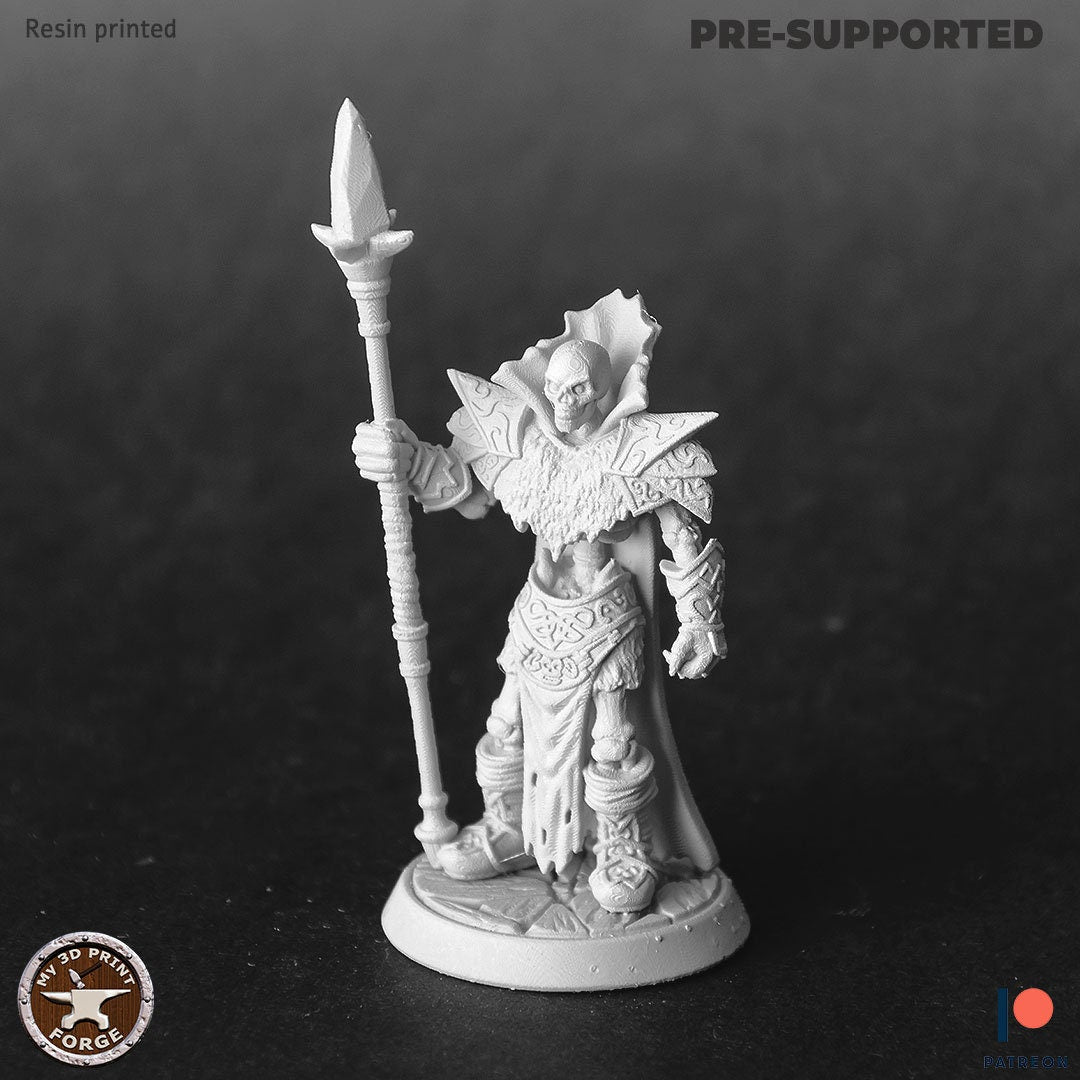 Bloodmage by My3dPrintForge Dnd, Dungeon and Dragon Mini, Tabletop Miniature, Miniature, Fantasy Miniatures, Bloodmage miniature, undead