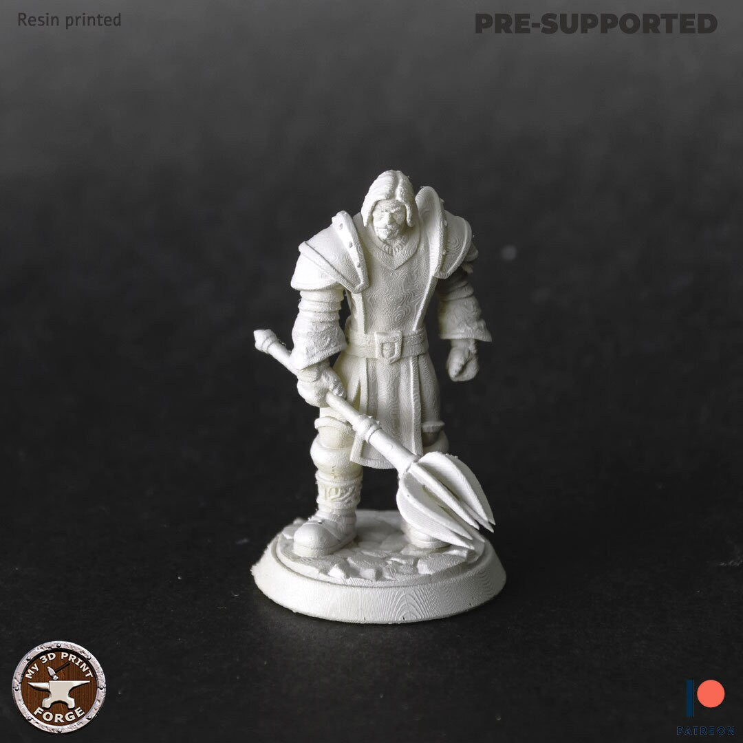 Miniature Paladin by My3dPrintForge Dnd, Dungeon and Dragon Mini, Tabletop Miniature, Miniature, Fantasy Miniatures, Light Paladin Miniature