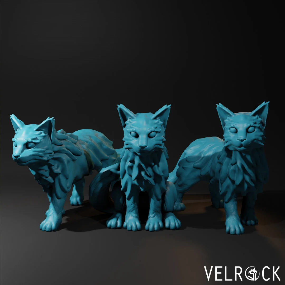 Cat familiar with velrock
