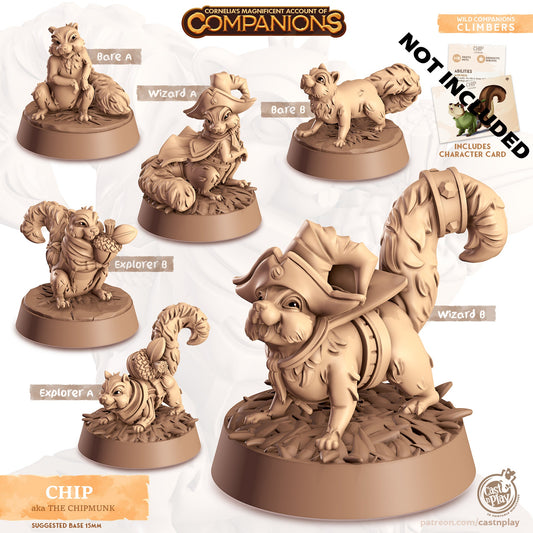 32/28mm The Chipmunk Companion, CastnPlay miniatures , Role Playing Games Miniature, WoW, Dungeon and Dragons, RPG, DnD, Mamot, Squirrel.