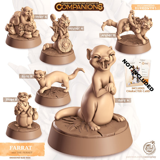 32/28mm The Ferret Companion, CastnPlay miniatures , Role Playing Games Miniature, WoW, Dungeon and Dragons, RPG, DnD,weasles.