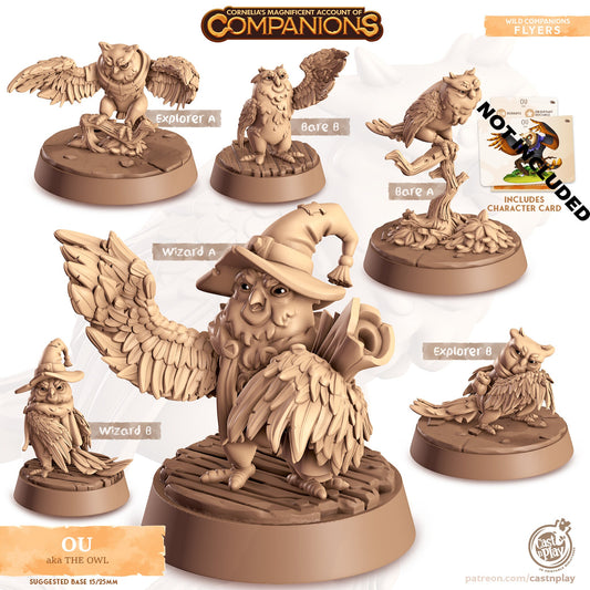 32/28mm The Owl Companion, CastnPlay miniatures , Role Playing Games Miniature, WoW, Dungeon and Dragons, RPG, DnD, Raptor.