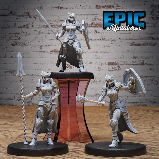 Female Paladin Miniature set 2 | 28mm & 32mm Scale Divine Warrior for DnD, Pathfinder, Tabletop RPGs, and Fantasy Adventures