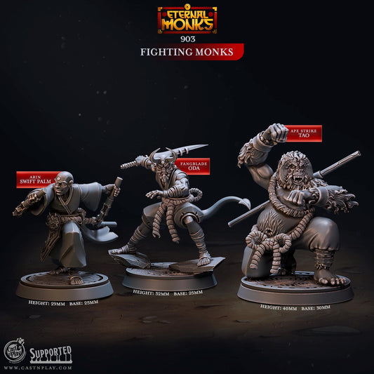 32mm, 28mm, Fighting Monks, Eternal Monks, CastnPlay miniatures , Role Playing Games Miniature, WoW, Dungeon and Dragons, RPG.