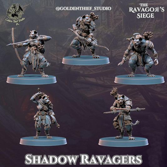 32mm, 28mm, Shadow Ravagers, Ravegors Siege, Golden Thief Studio , Role Playing Games Miniature, WoW, Dungeon and Dragons, RPG.