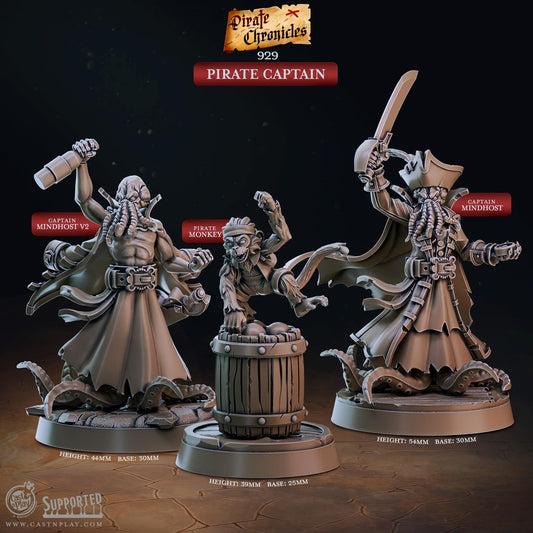 32mm, 28mm, Pirate Captain, The Pirate Chronicles, CastnPlay miniatures , Role Playing Games Miniature, WoW, Dungeon and Dragons, RPG.